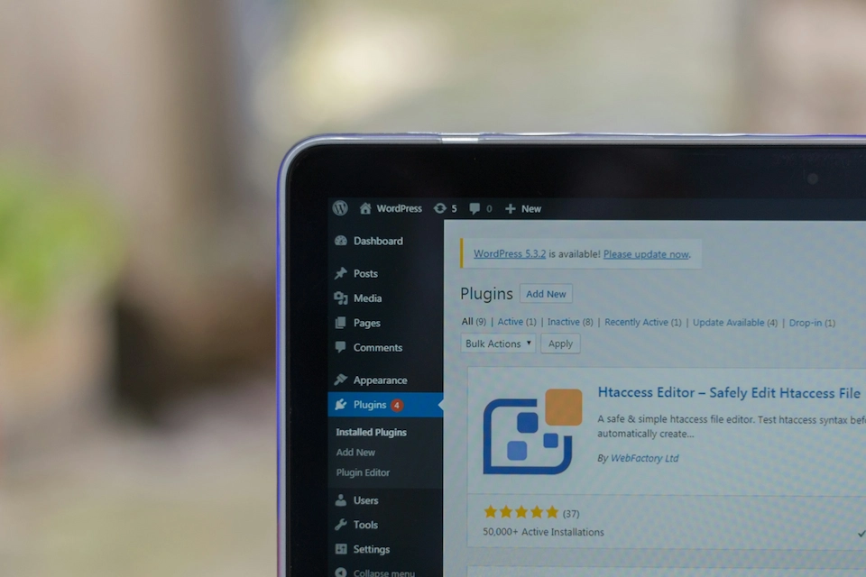 user showing Wordpress plugin dashboard