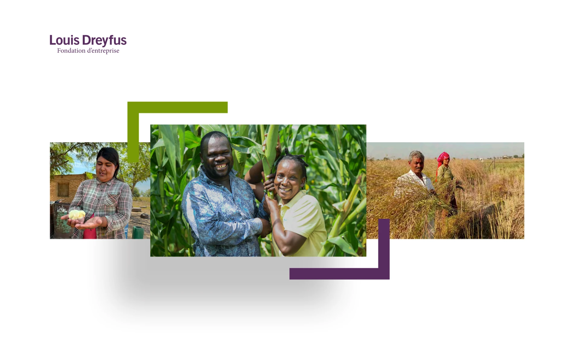 Louis Dreyfus Foundation photography of smallholder farmers framed by the brand's corner marks