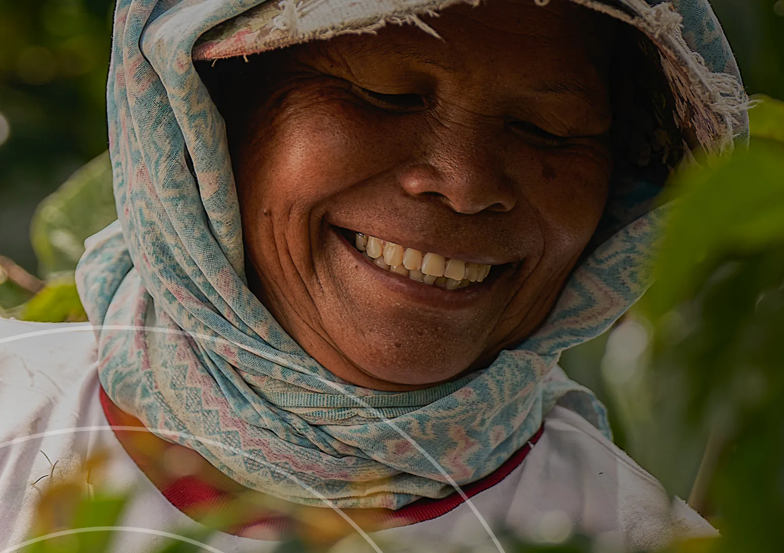 Louis Dreyfus Foundation — A faster home for grassroots impact