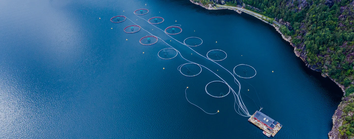 Aerial view of circular salmon pens in a fjord, from the Ace Aquatec website